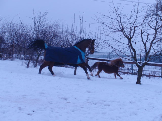 P2082294.JPG