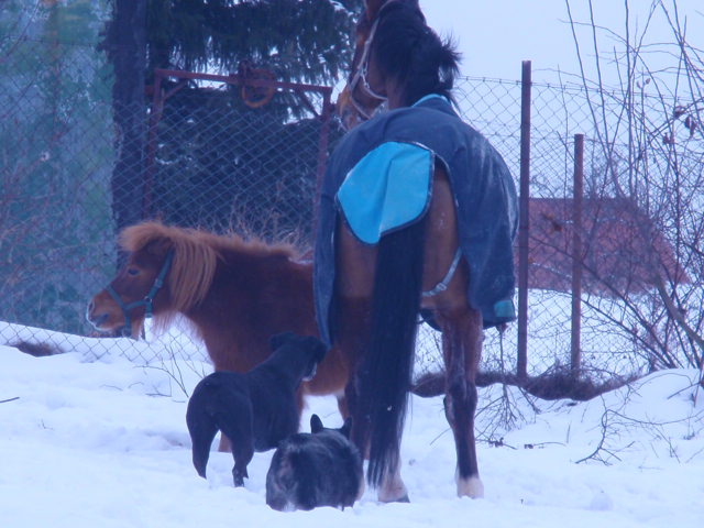 P2082306.JPG